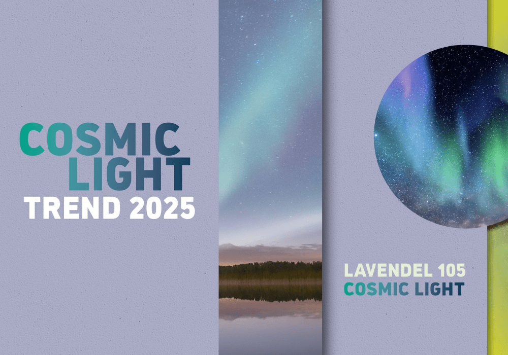 Nunc Volutpat Venenatis