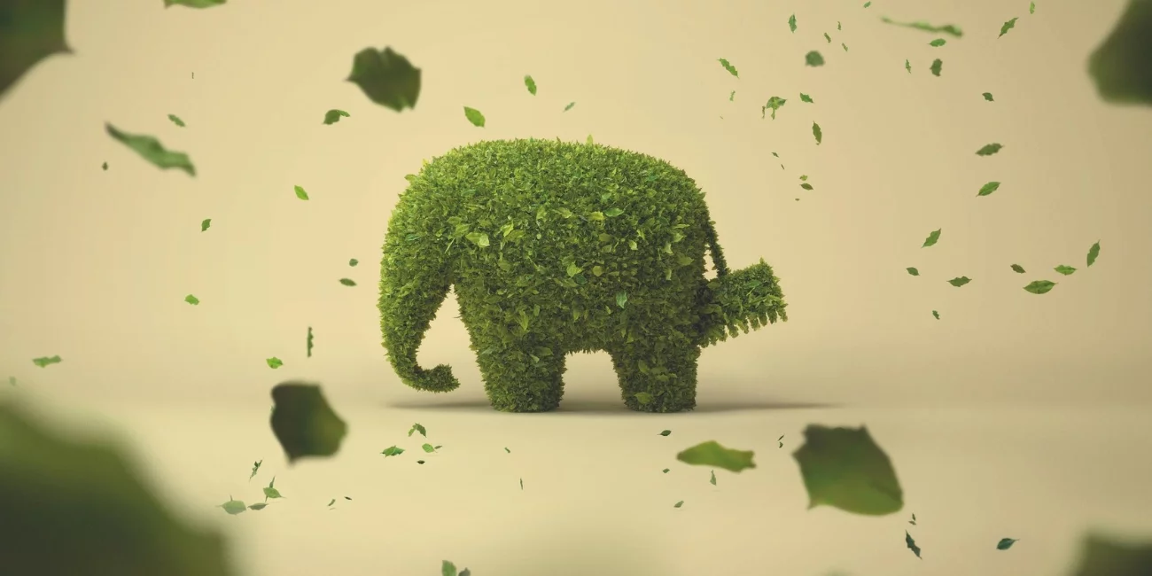 Nunc Volutpat Venenatis