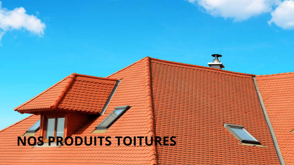 Nos produits de traitement pour toiture Caparol Center Bourgoin